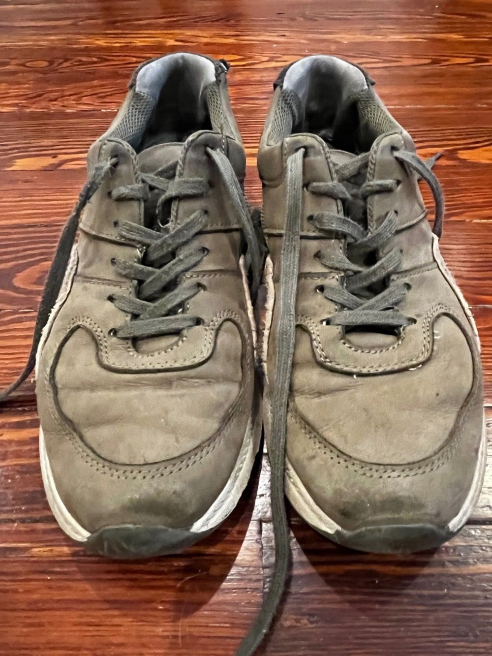 Everlane Olive Suede & Leather Sneakers size 7